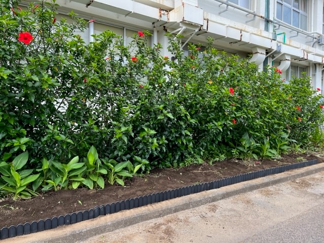 1年　花壇2